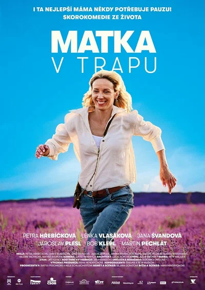 Постер: Мать в ловушке
